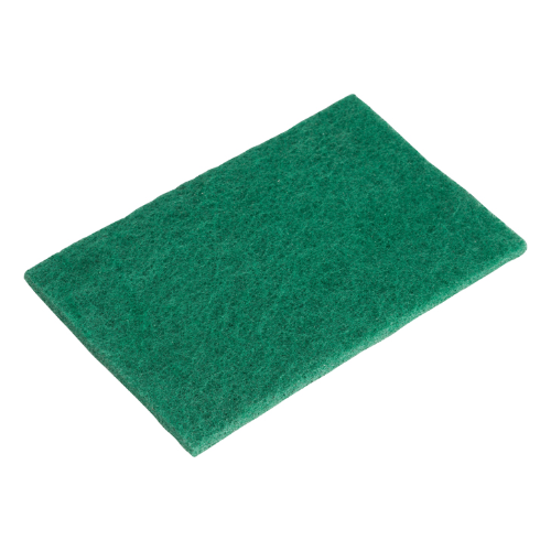 Scouring Pad - Nylon - Green - 6x9 (6)